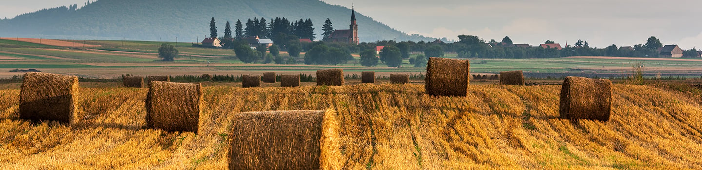 Poza-pagina-romania-isagri