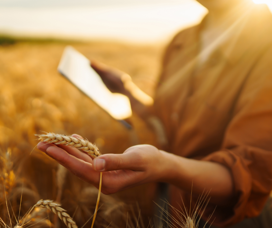 Webp Image site web (940 x 788 px) (26)